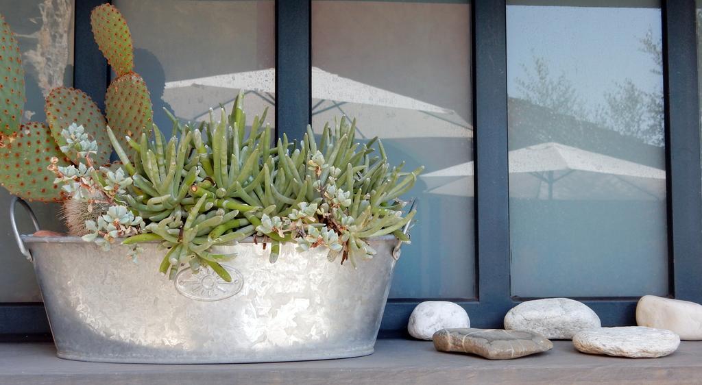 I Freschi Apartment San Bartolomeo Al Mare Exterior photo